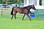 SBM_00058