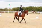 SBM_001804