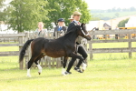 SBM_00414