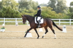 Class 13 - Novice 23 - 8,30-9.33 portfolio