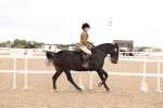 SBM_16485
