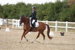 SBM_015776