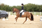SBM_020222