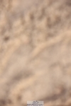 241117X-113121-04132