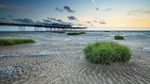 islands-in-the-sand