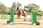 SBM_003671