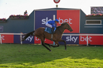 240726-Race 5-Diamond Rain-5515