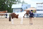 SBM_05893