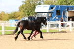 SBM_10977