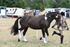 WJ6_5866