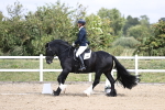 SBM_016715
