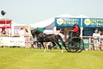 SBM_02880