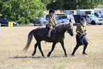 WJ6_7782