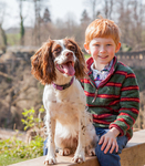 Dog Portrait Photography portfolio