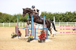 SBM_004241