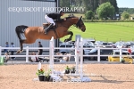 BPP_6656