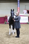 Class G - IH Large (over 148cm)Champ portfolio