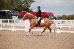 SBM_05900