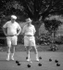 LAWN BOWLING - NYC