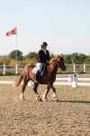 SBM_007065