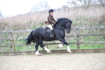 SBM_006359