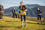 Sale Fell-448