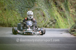 Petit Bot Hillclimb_2015_KART-36