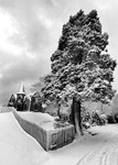 The Tree And the Lodge Snowbound