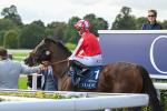 230824-Race 4-Bradsell-9336
