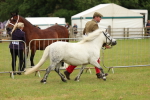 SBM_03514