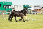 SBM_00887