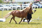 DSC05926
