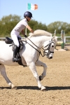 SBM_002655
