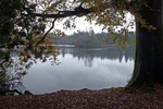 Hillsborough Lake