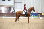 Class 5 - Novice 6 Gold - 13.05-14.00 portfolio