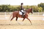 SBM_016869