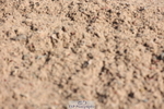 240706A-090307-00103