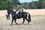 WJ7_5867
