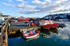 BX40 Red boats at Brixham Harbour