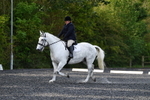 WJ5_8965