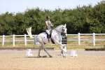 SBM_009271