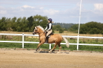SBM_001214