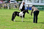 SBM_03671