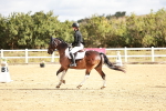 SBM_009856