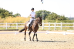 SBM_006654