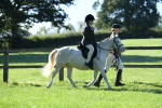 SBM_36784