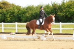 SBM_006920