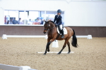 SBM_000921