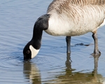 20110422-IMG_4630