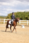 SBM_003656